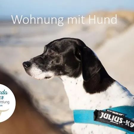 Adas Hues - 3 * Norddorf
